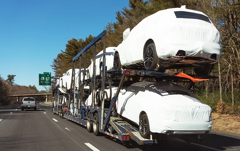 フラッシュスピンHypak™カーカバーの天気保護のため